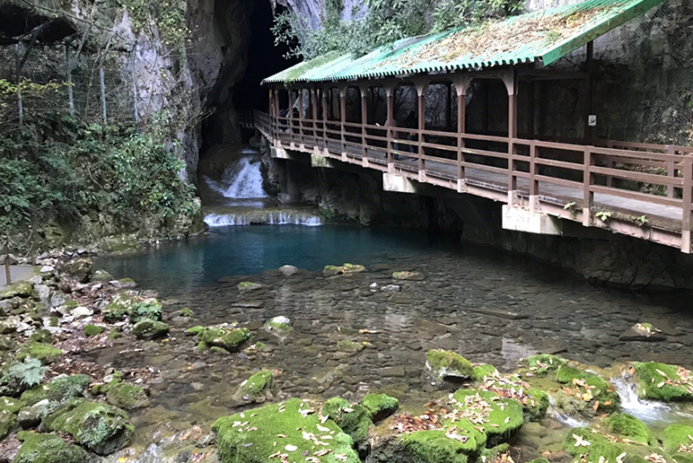 照片標題