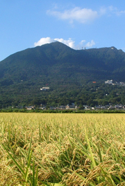 茨城騎旅：霞之浦、筑波山、賞櫻4日